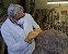 restauro busto caloprese scalea